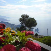 Capri Amalfi Coast Napoli 2015